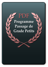 PDF Programme Passage de Grade Petits